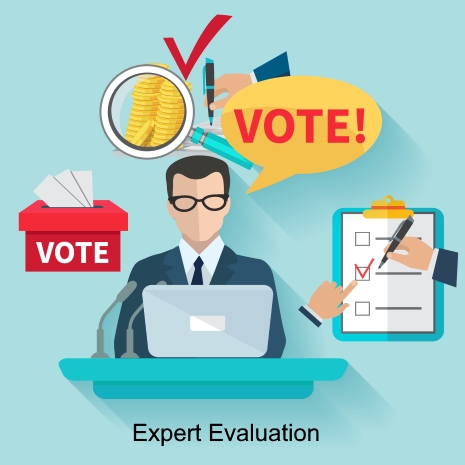 Idea Evaluation Criteria - Expert evaluation