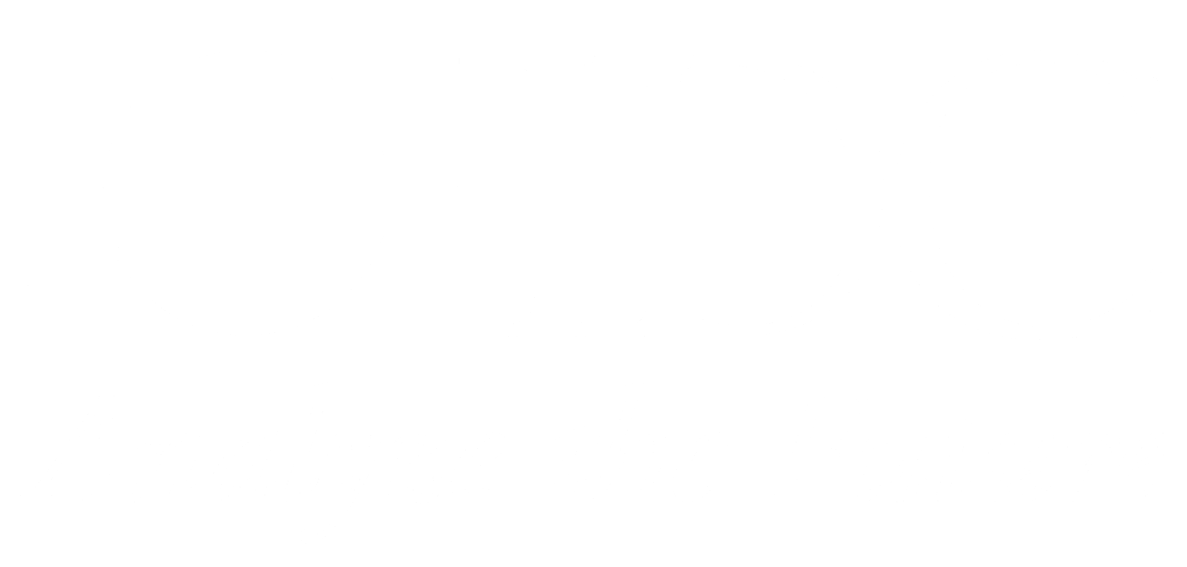 IDC white logo e1675713481209